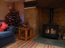 Christmas tree, plant woodburner